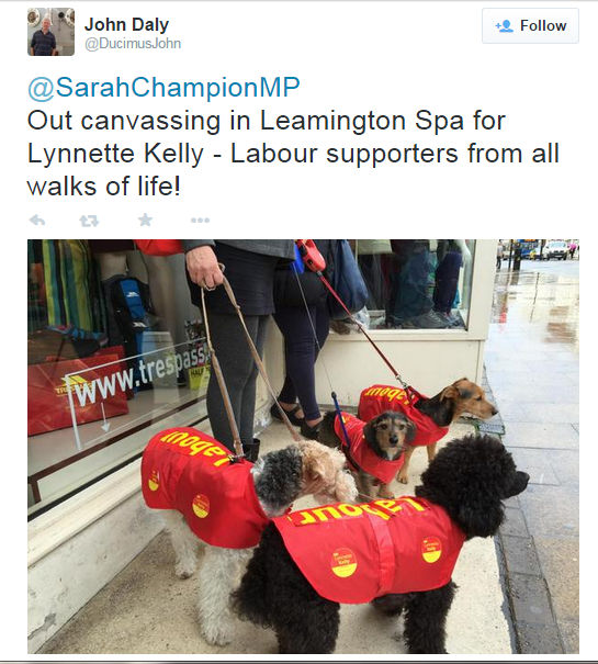 Labour Supporters from All Walks of Life.jpg