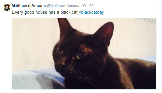 Black Cat Day.jpg