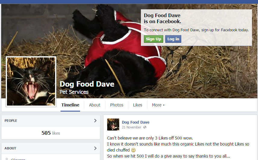 Dog Food Dave.jpg
