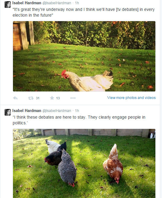 Camerons Chickens.jpg