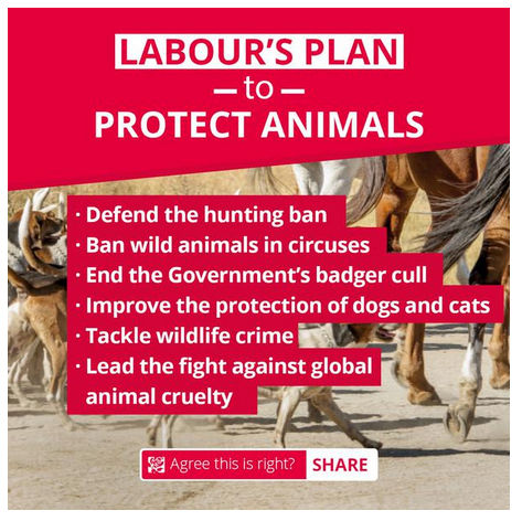 Labours Plan To Protect Animals.jpg